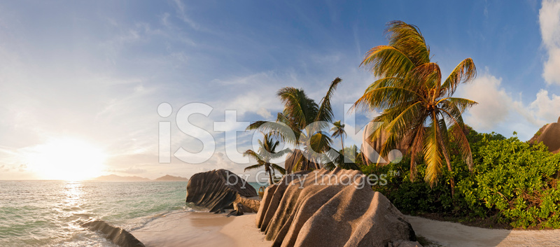 Palm Tree Sunset Idyllic Tropical Island Beach Panorama.