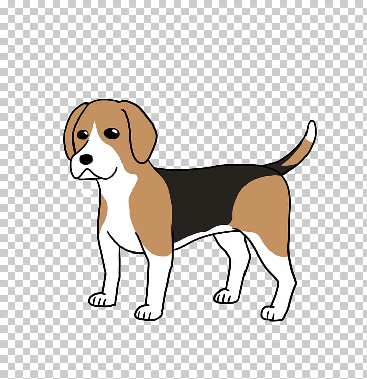 Beagle Harrier English Foxhound Puppy Dog breed, puppy PNG.