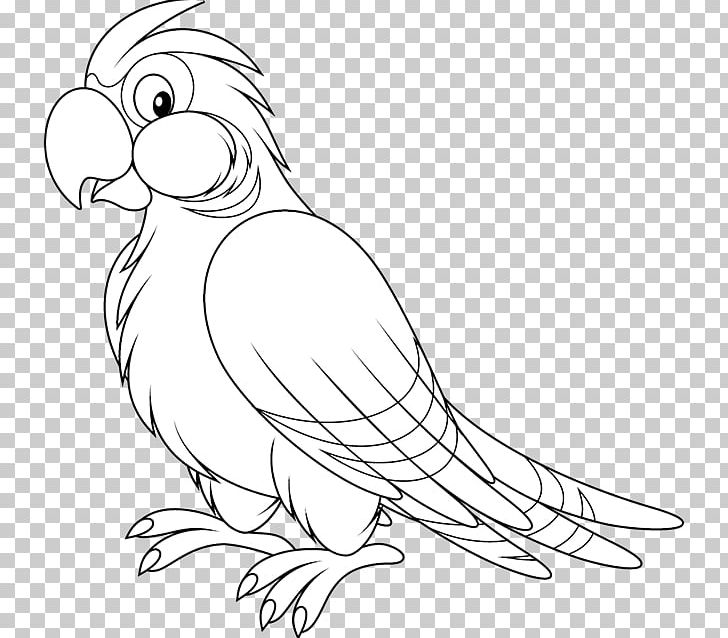 Parrot Bird Black And White PNG, Clipart, Animals, Artwork.