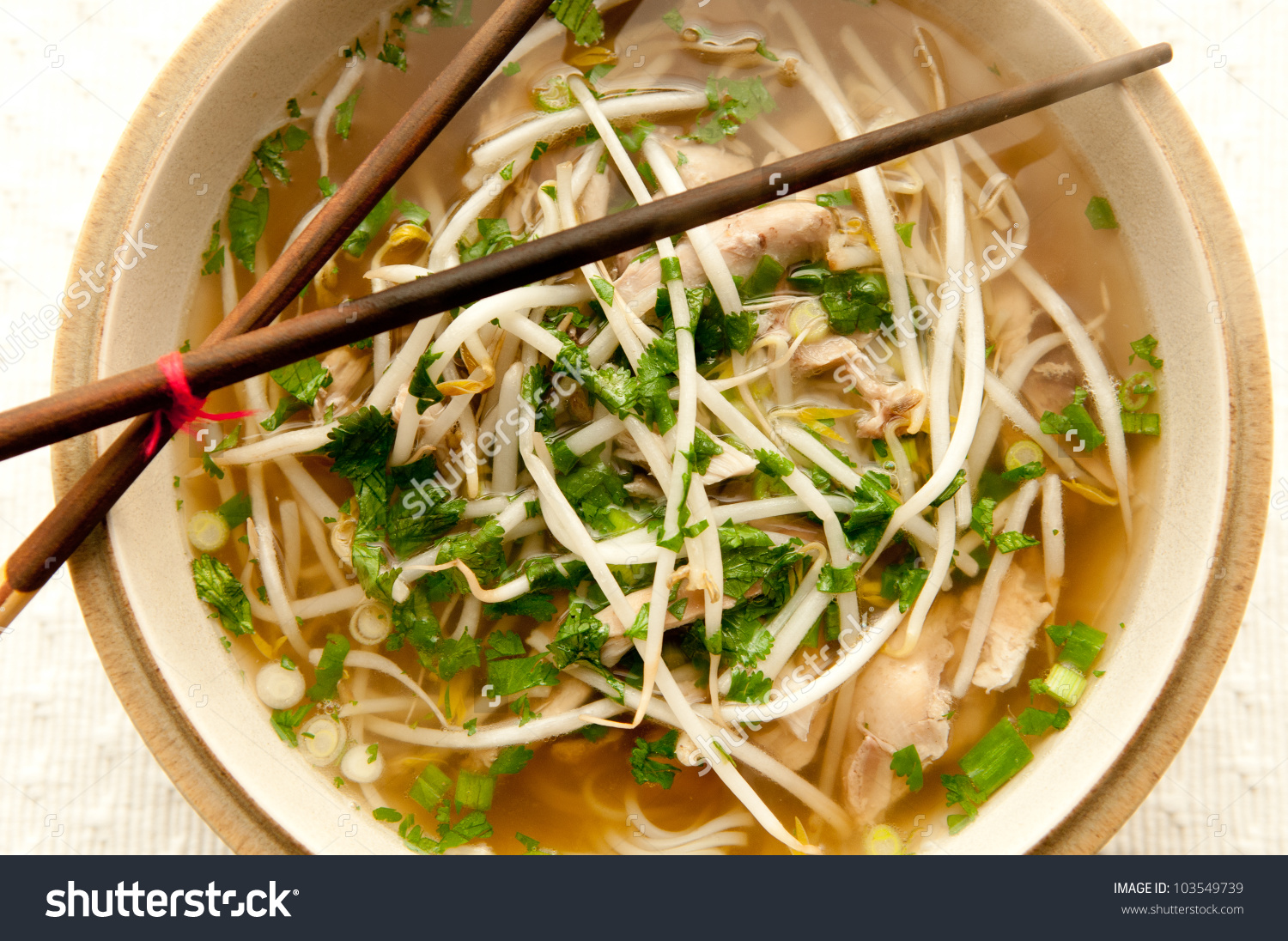 Vietnamese Pho Soup Ethnic Meal Chicken Stock Photo 103549739.