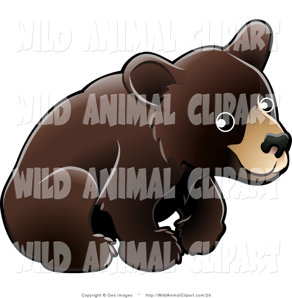 Clip Art of an American Black Bear Cub (Ursus Americanus.