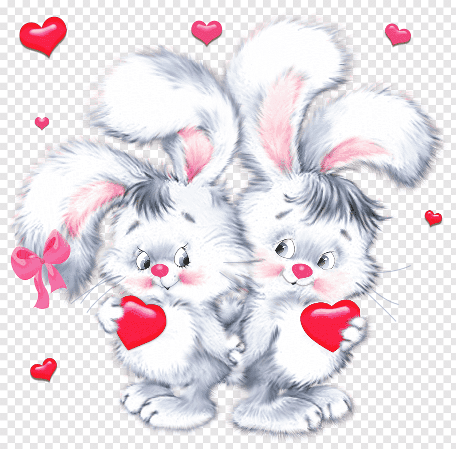 Two gray rabbit illustration, Valentine\'s Day Birthday Wish.