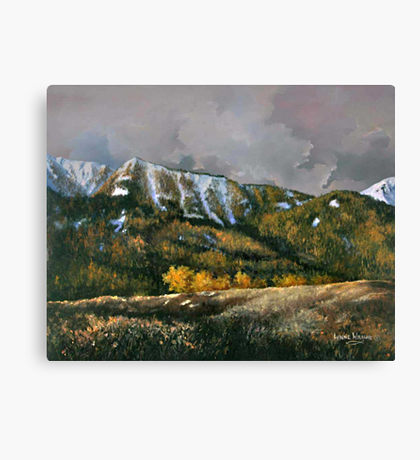 Bear Claw: Canvas Prints.