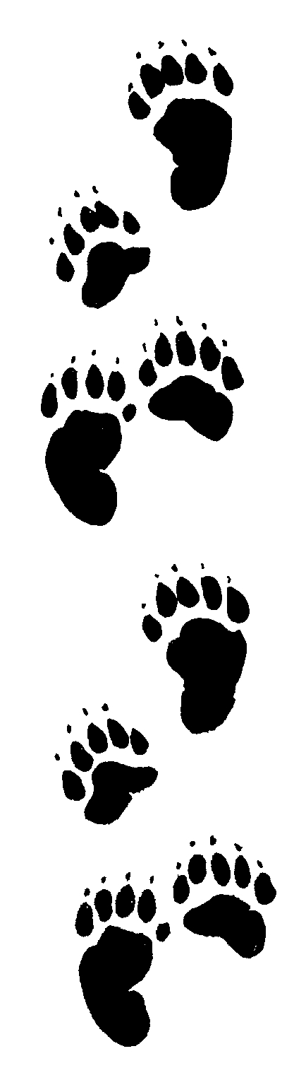 Free Bearpaw Cliparts, Download Free Clip Art, Free Clip Art.