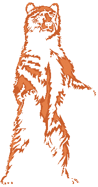 Clipart Bear Standing.