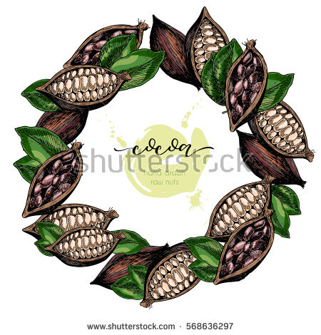 Cacao Bean Stock Photos, Royalty.