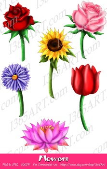 Beautiful Flower Illustrations Clipart 6 Pack Digital Graphics Instant  Download.