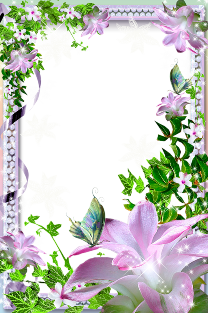 Beautiful Transparent Photo Frame with Flowers.