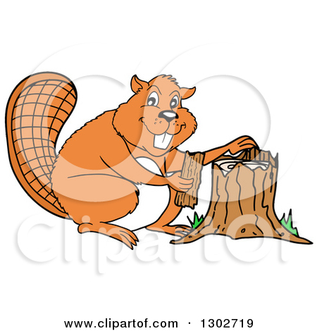 Clipart of a Cartoon Beaver Chef in an Apron, Giving a Thumb up.