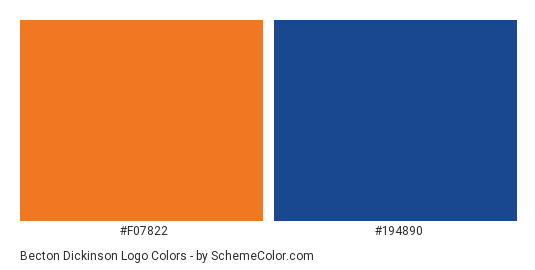 Becton Dickinson Logo Color Scheme » Blue » SchemeColor.com.