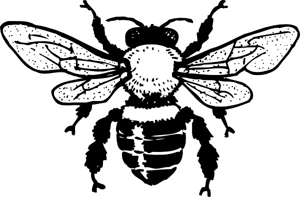 Honey Bee clip art Free vector in Open office drawing svg.