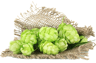 How Do You Evaluate a New Hop? SMaSH It!.