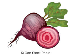 Beetroot Vector Clipart EPS Images. 1,114 Beetroot clip art vector.