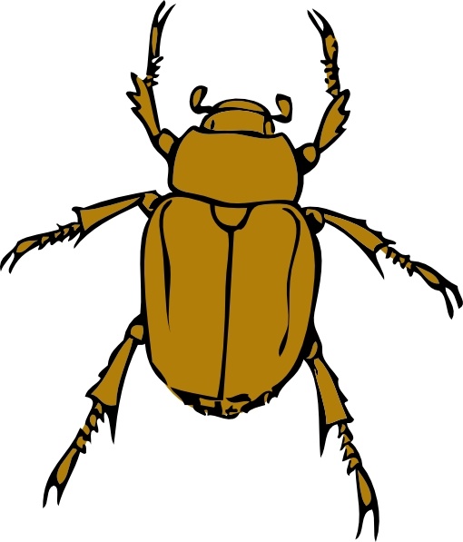 Beetle Bug clip art Free vector in Open office drawing svg ( .svg.