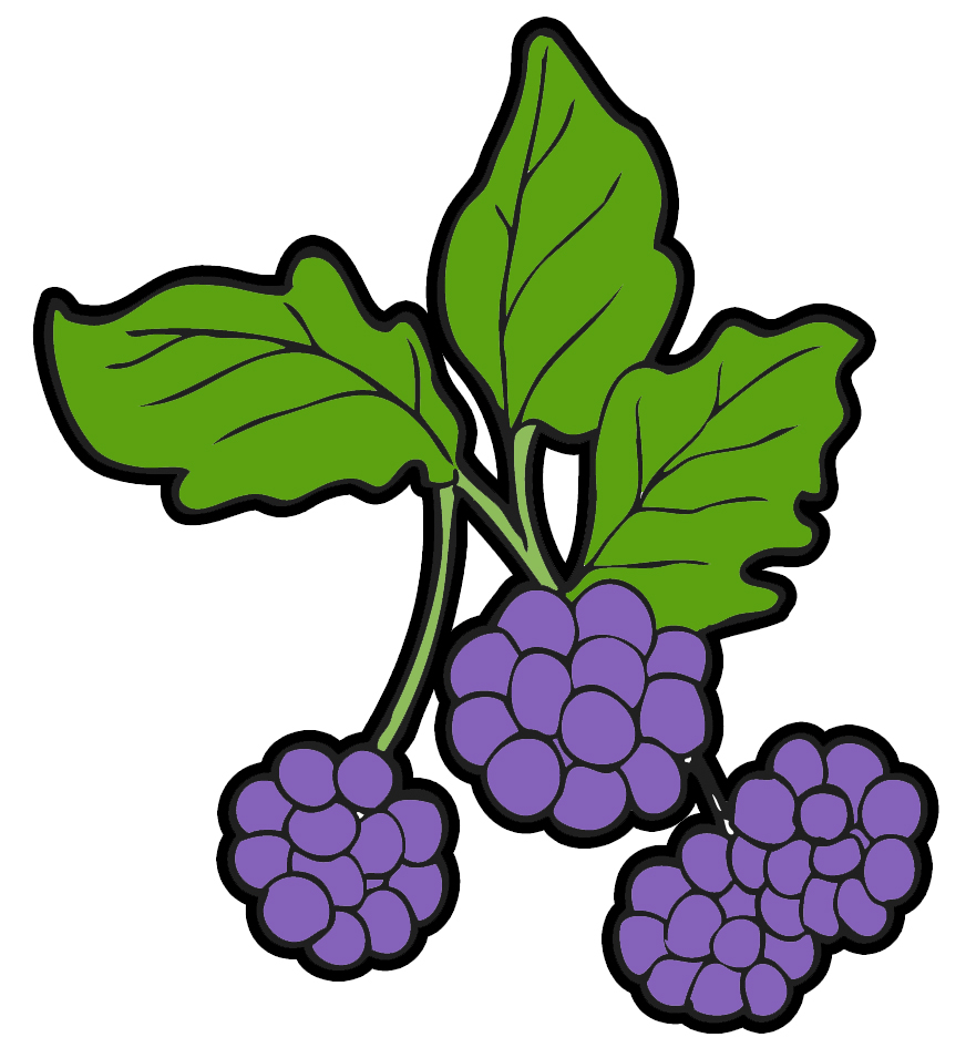 Clipart berries.