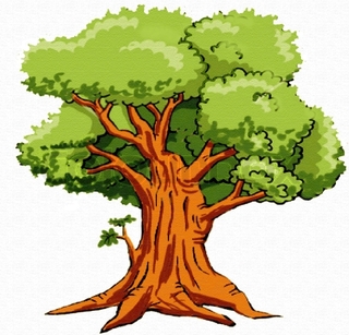 Clipart big tree.