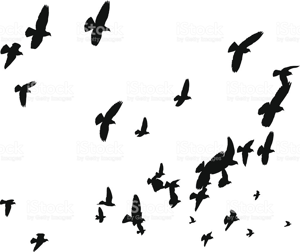 Birds Flying Clip Art, Vector Images & Illustrations.