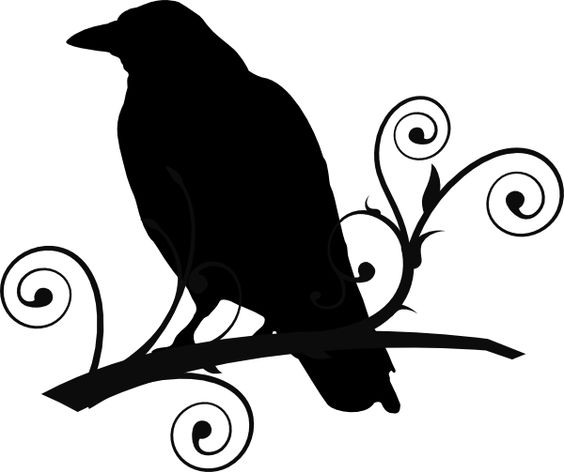 Raven+Pictures+Bird+Silhouette.