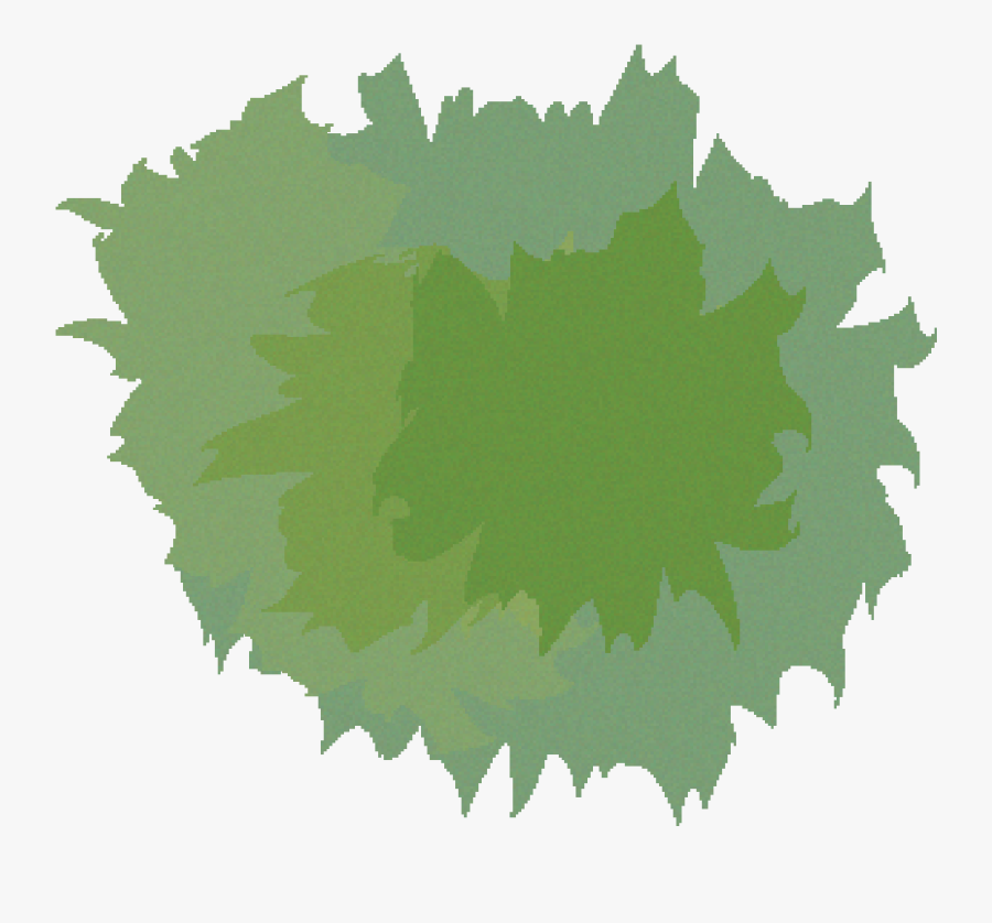 Tree Birds Eye View Png , Free Transparent Clipart.