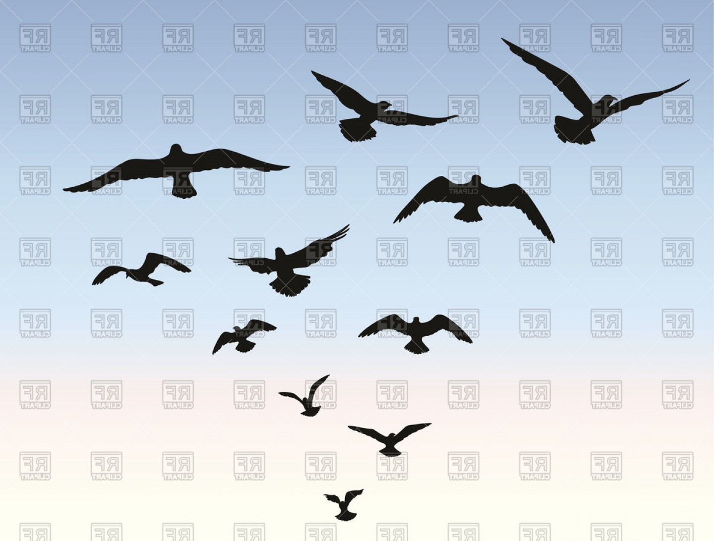 Bird Flying Silhouette Over Blue Sky Background Animal Wildlife.