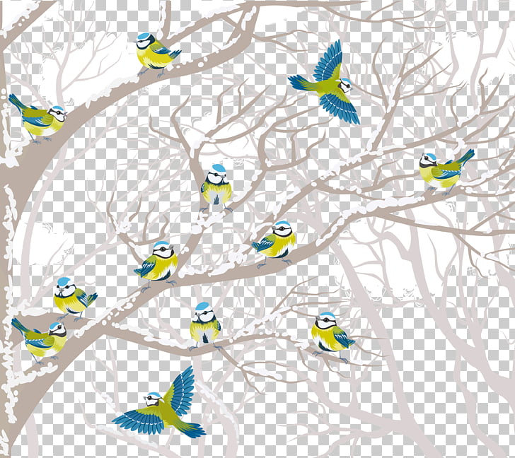 Bird Tree Winter , Creative winter birds PNG clipart.