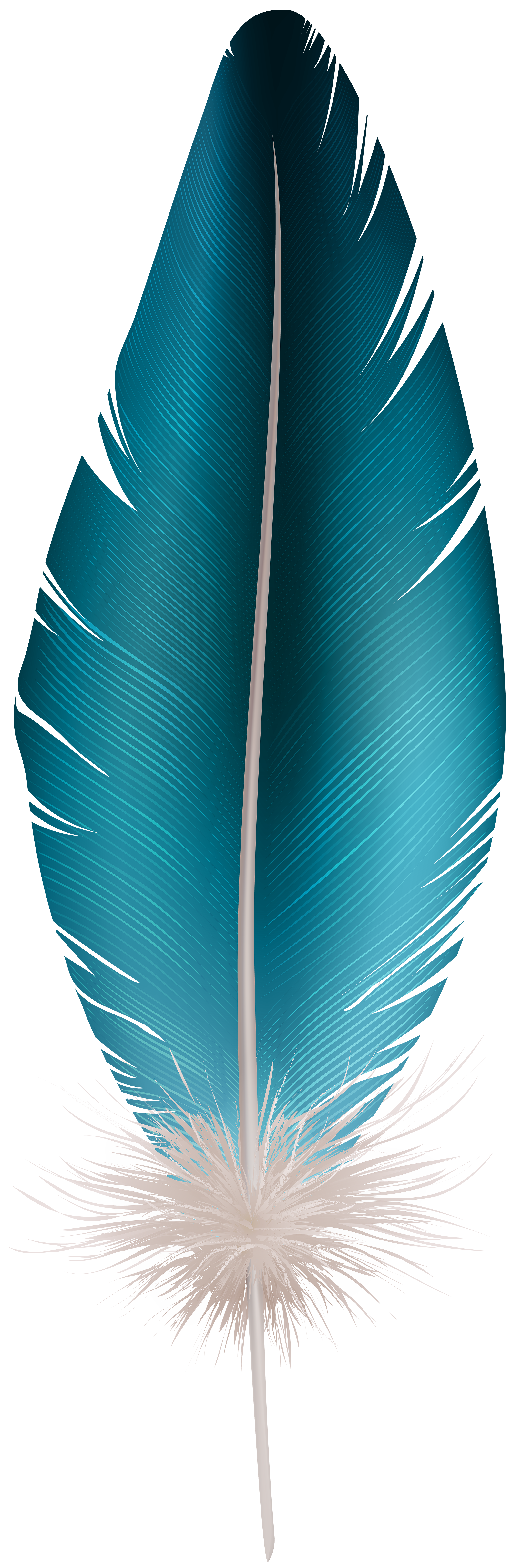 Feather Blue PNG Clip Art Image.