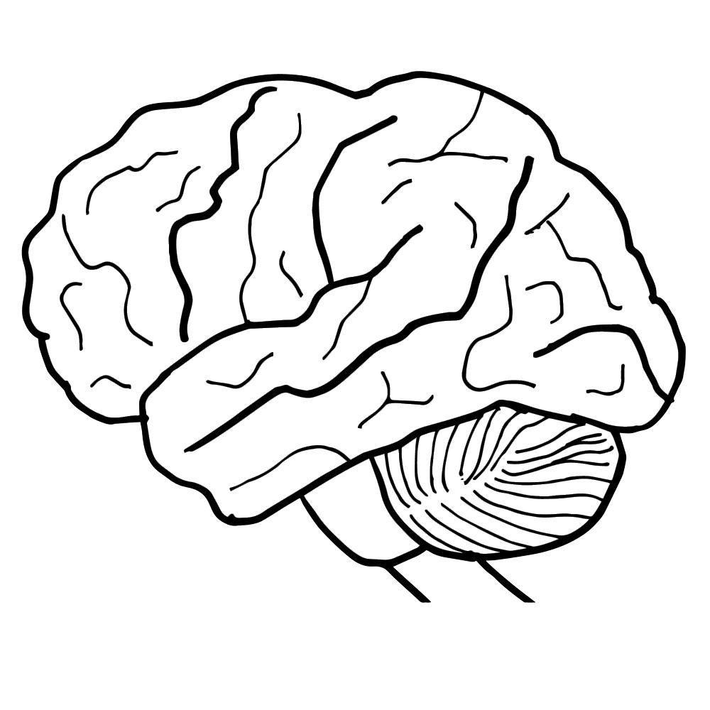 Brain Clip Art Black And White.