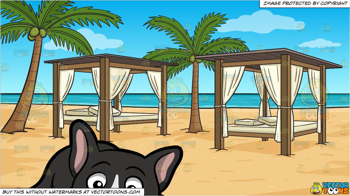 A Tired Black And White French Bulldog and Luxury Cabanas On A Beach  Background.