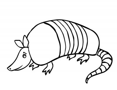 57 Armadillo free clipart.