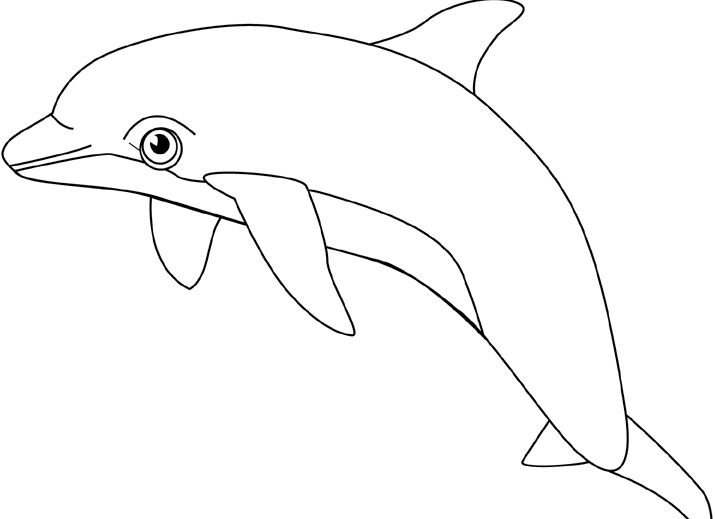 Dolphin Clipart Black And White Png.