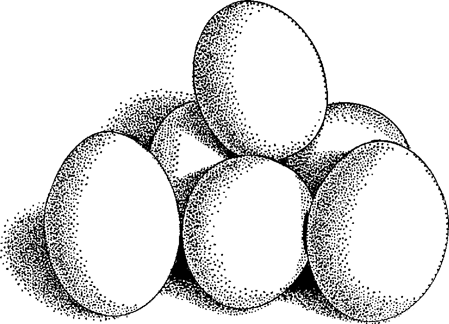 Eggs Clipart Black And White.