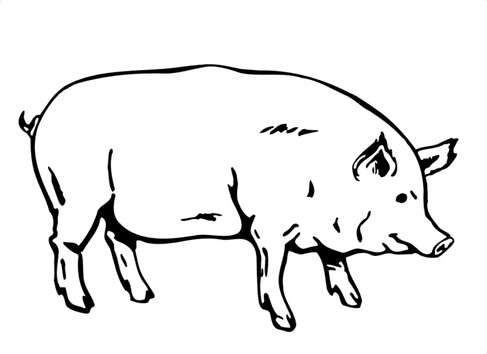 Free Pig Clipart Black And White, Download Free Clip Art.