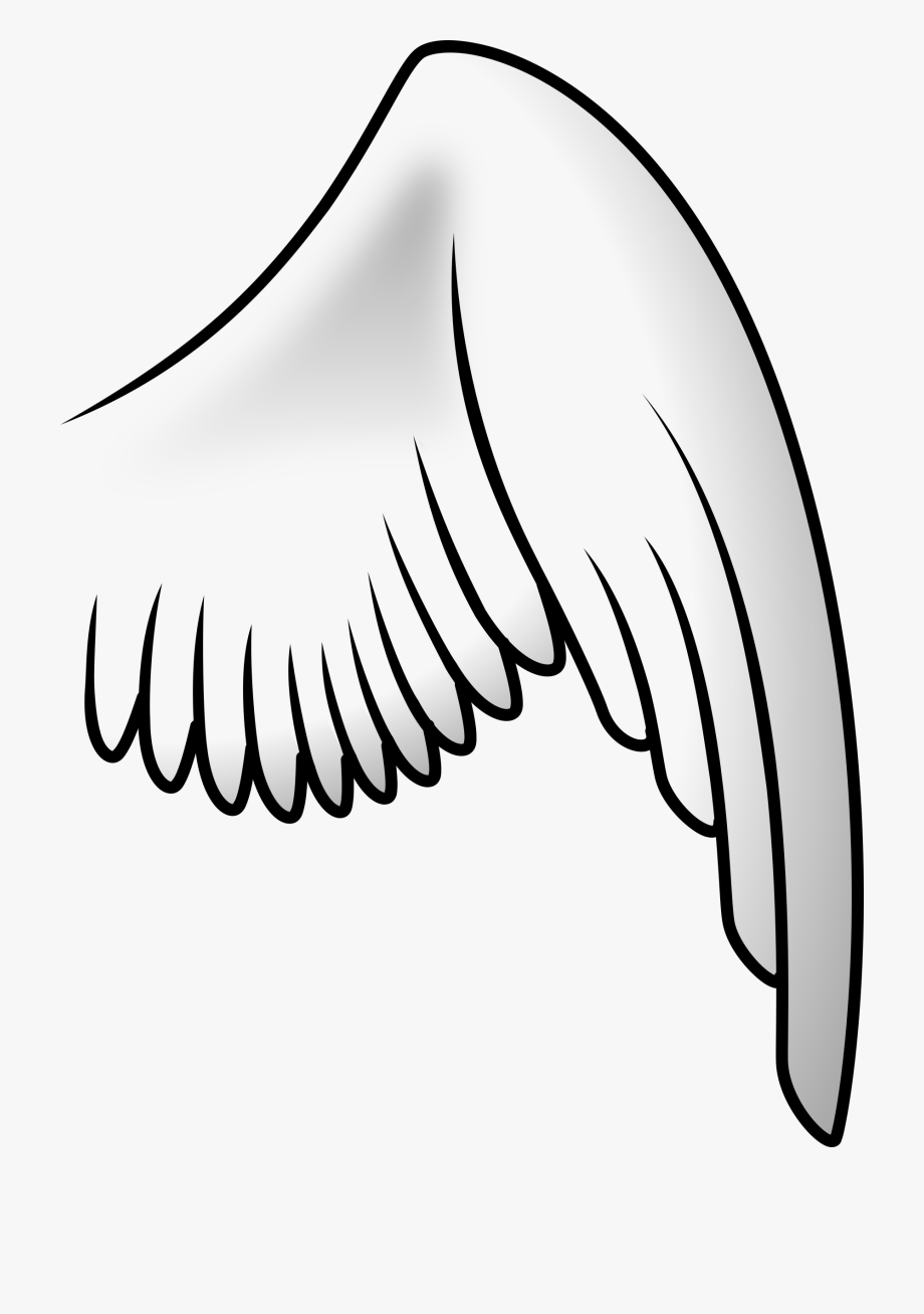 Wings Big Image Png.