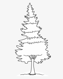 Black And White Pine Tree Png Vector, Clipart, Psd.