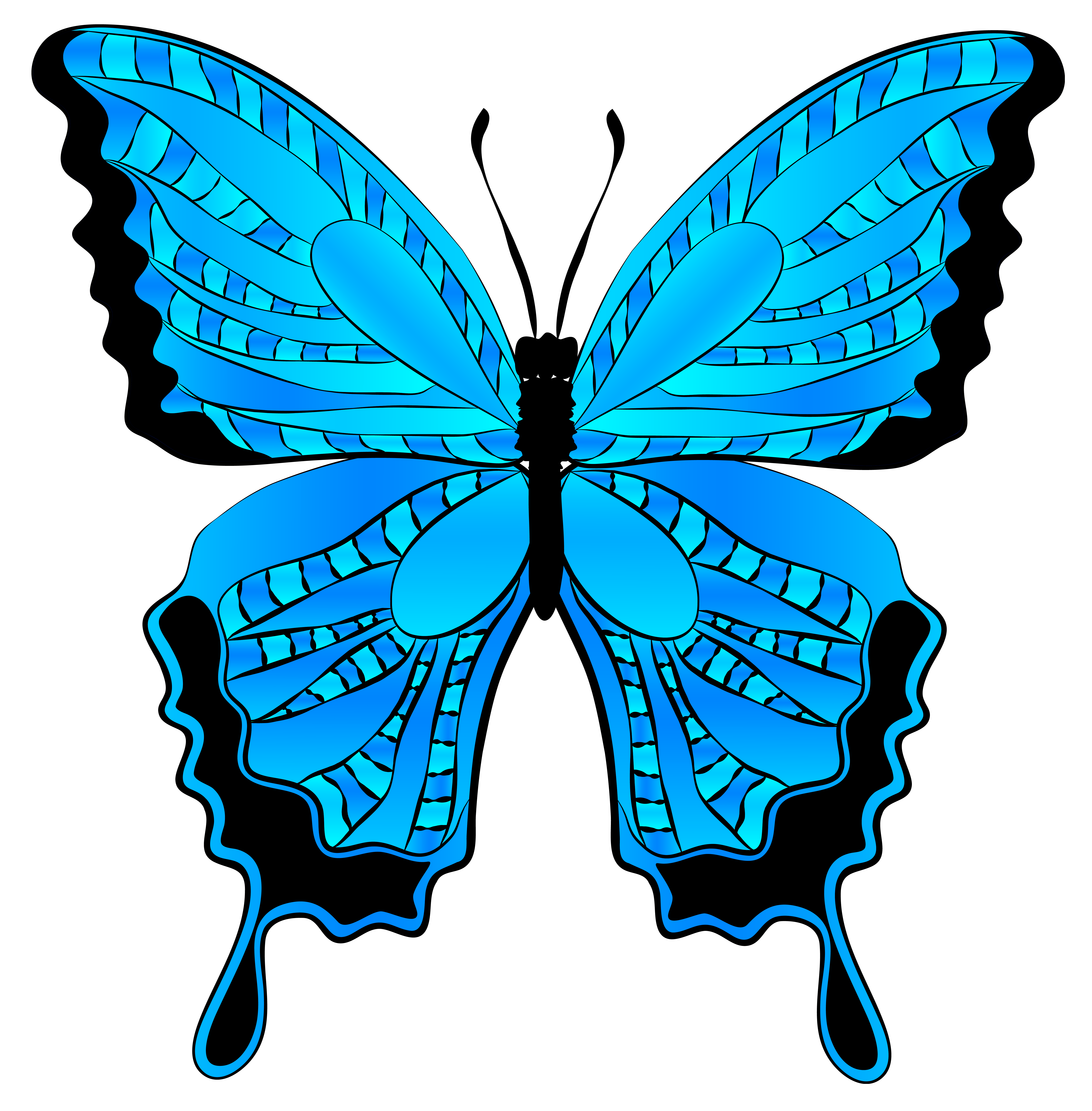 Blue and black butterfly clipart.