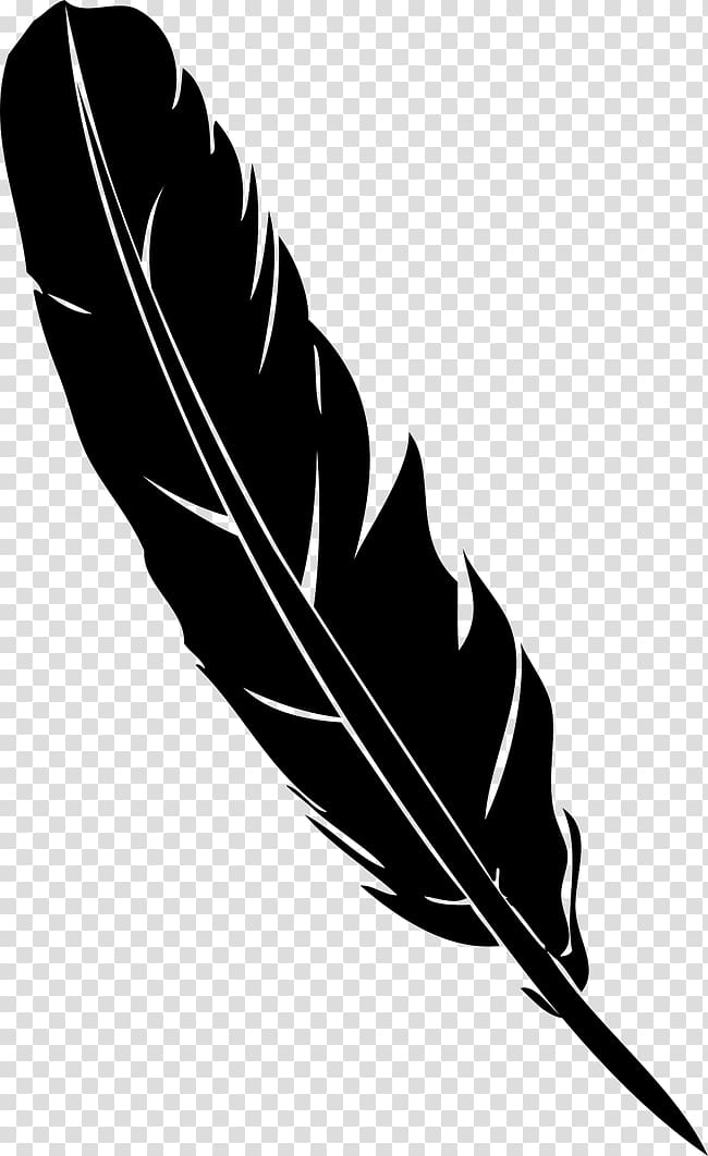 Black and gray feather illustration, Feather Pen Quill.