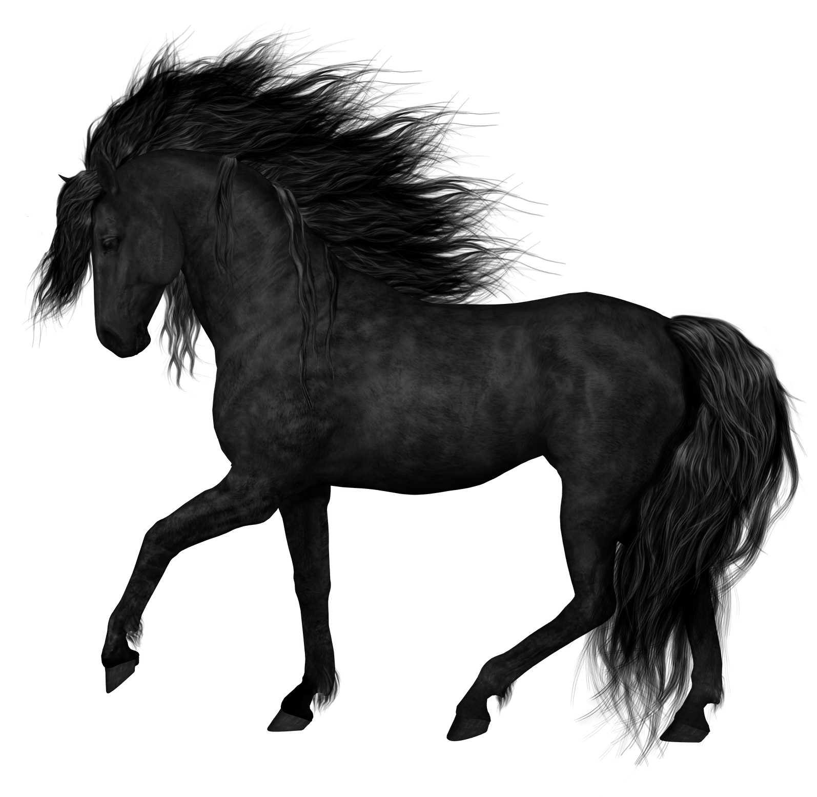 Black Horse PNG Clipart Picture.