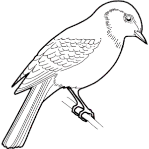 Sparrow clipart black and white.