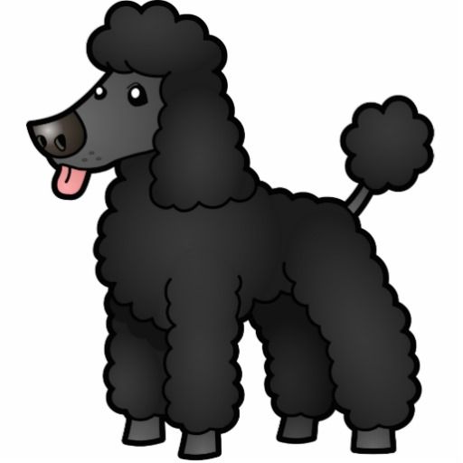 Pin on Poodles.