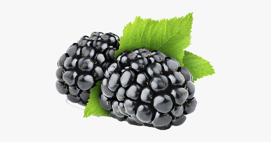 Blackberry Fruit Clipart Png.