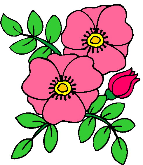 Clipart bloem.