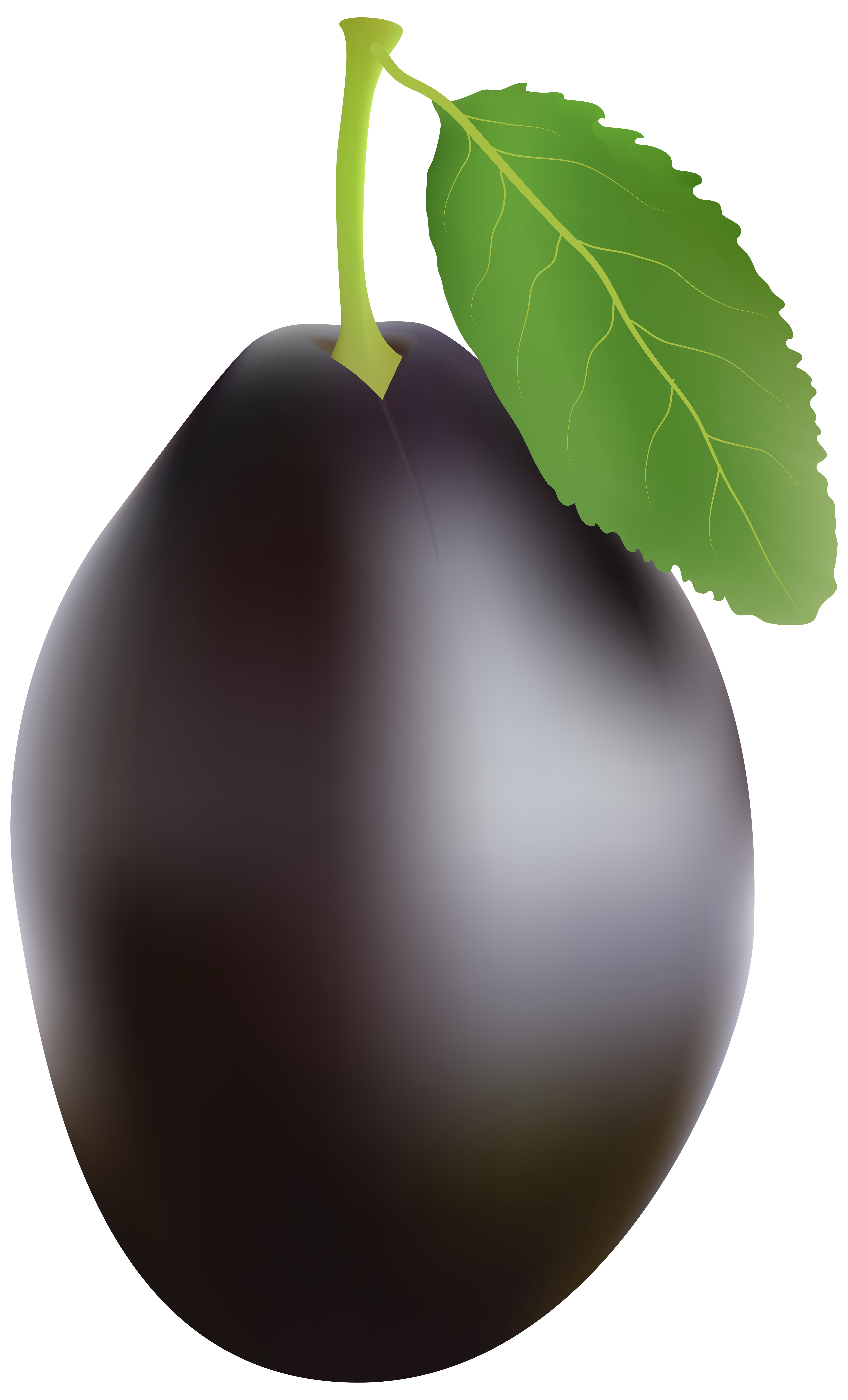 Plum PNG Clip Art.