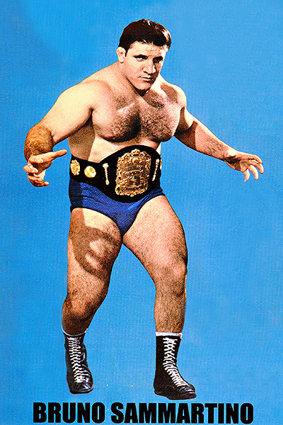 Championship Region, Fifth Round: (4) Bruno Sammartino vs.