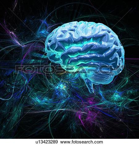 Stock Photograph of Brain research, conceptual artwork u13423289.