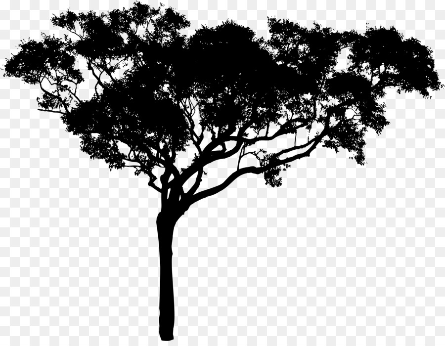 Tree Branch Silhouette clipart.