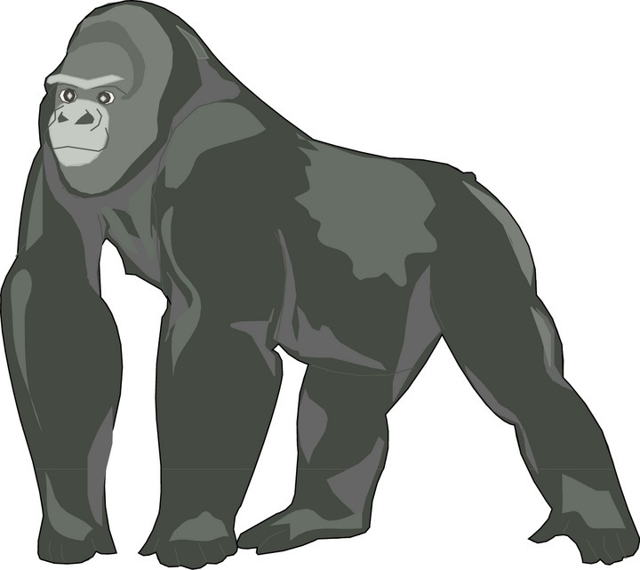 Gorilla Clip Art Free.