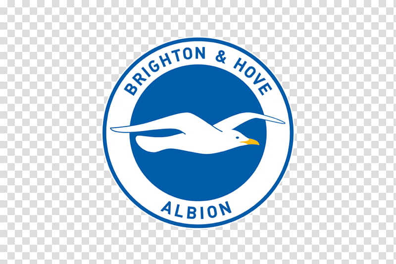 Premier League Logo, Brighton, Organization, Brighton Hove.