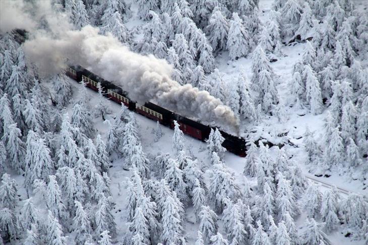 train rides, beautiful, nature, views.