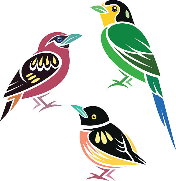 Banded Broadbill Clip Art, Vector Images & Illustrations.