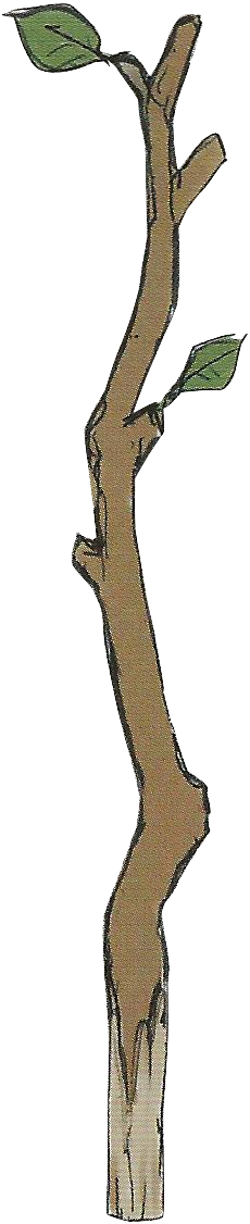 Broken Tree Branch Clip Art.